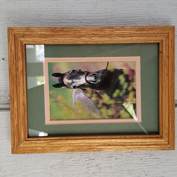 Framed Horse Print Caballo Pony Cowgirl - Picture 1 of 11